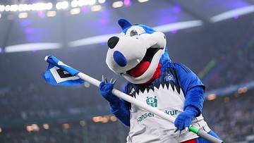 Der Hamburger SV gehört zu den heimstärksten Bundesligateams