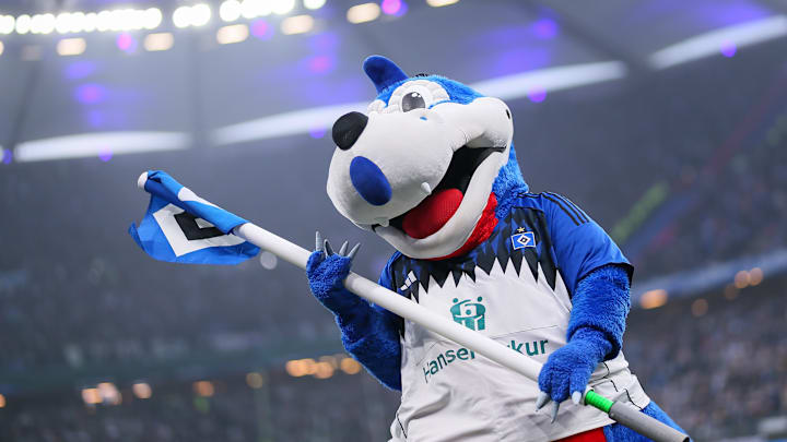 Der Hamburger SV gehört zu den heimstärksten Bundesligateams