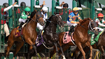 DRF Horse Racing Playbook August 28th