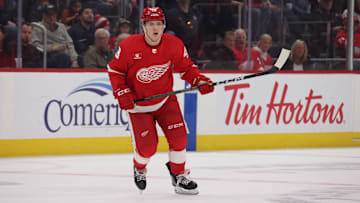 Arizona Coyotes v Detroit Red Wings