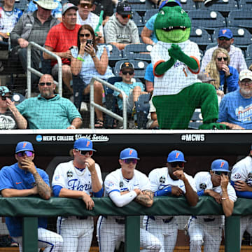 The Florida Gators watch the action at the College World Series