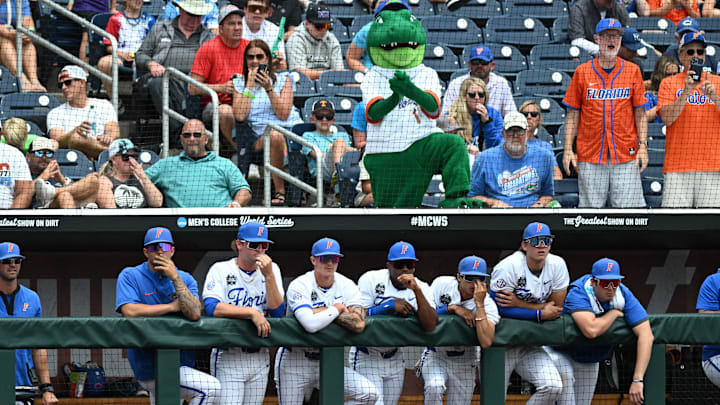 The Florida Gators watch the action at the College World Series