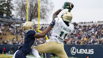 Keshaun Singleton hauls in a TD pass for the Bulls