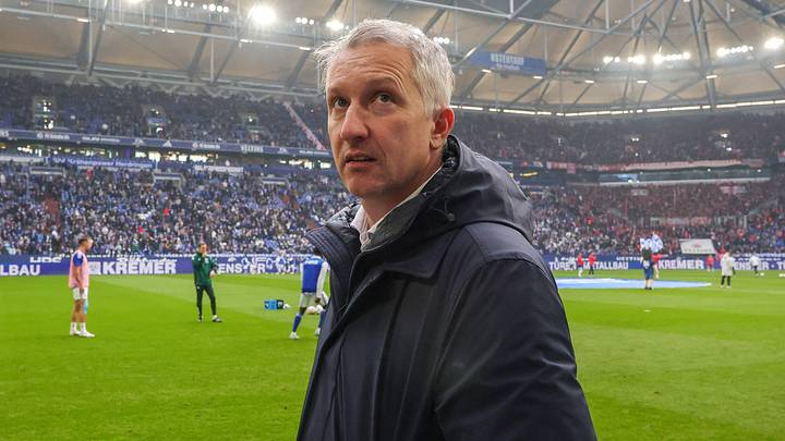 Frank Baumann in der Veltins Arena