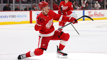 Calgary Flames v Detroit Red Wings