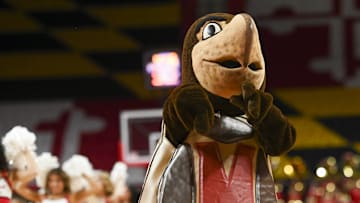 Feb 29, 2024; College Park, Maryland, USA;  Maryland Terrapins mascot Testudo reacts on the court during the second half of the game against the Wisconsin Badgers at Xfinity Center. Mandatory Credit: Tommy Gilligan-Imagn Images