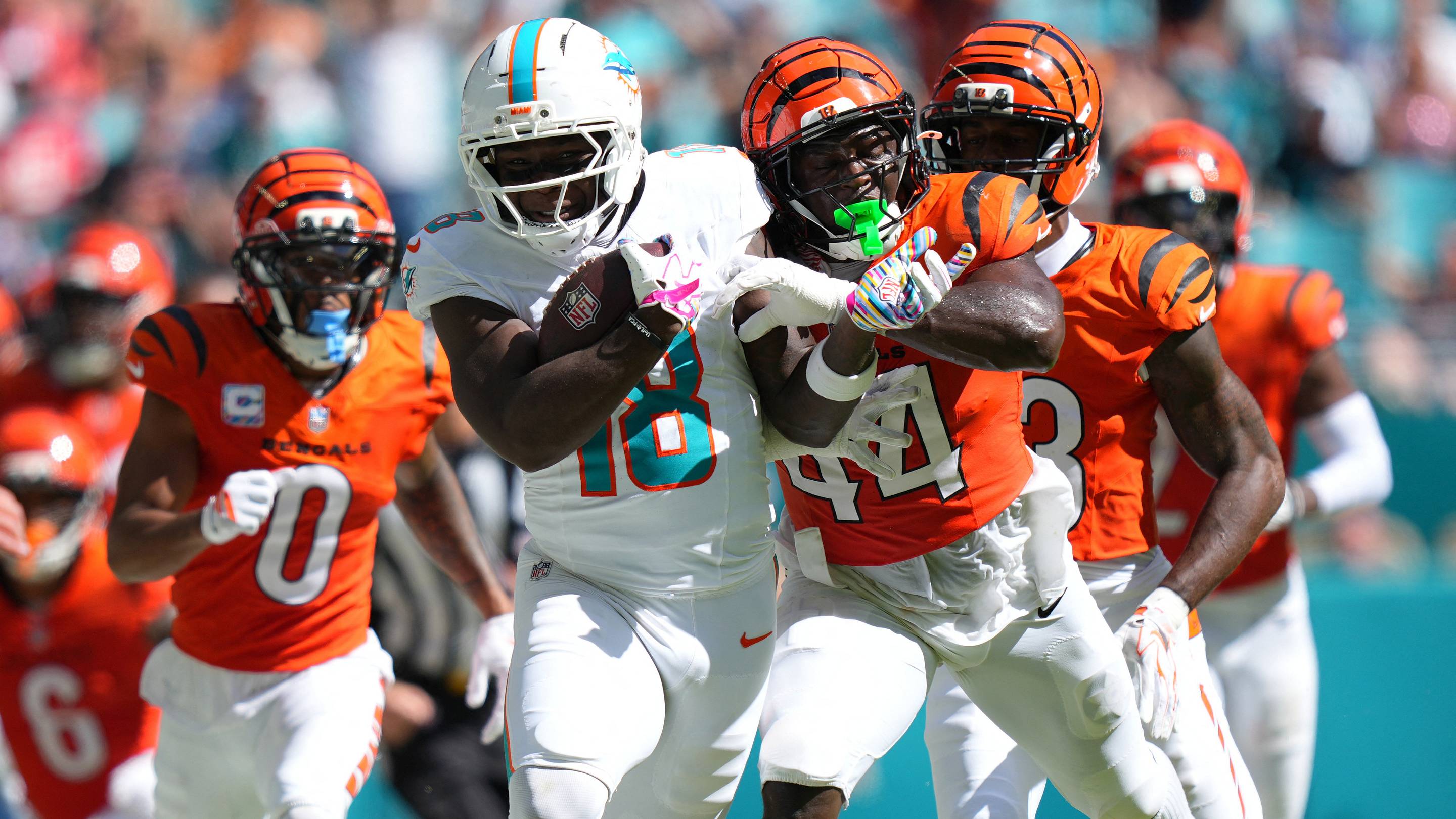 Dolphins Saturday Mailbag: Why Fans Should Want to See Victories