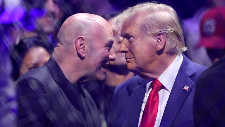 UFC CEO Dana White (left) talks to President-elect Donald Trump ringside during UFC 309 at Madison Square Garden