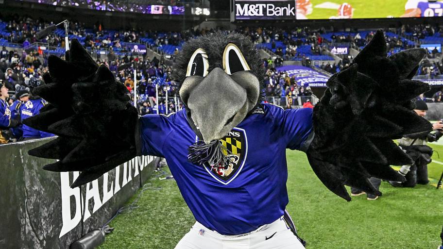 Ravens, mascots. 