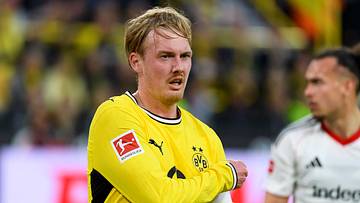 Julian Brandt Julian Brandt