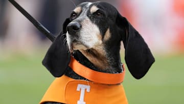 Tennessee Volunteers mascot Smokey at a game against the UTEP Miners at Neyland Stadium. 