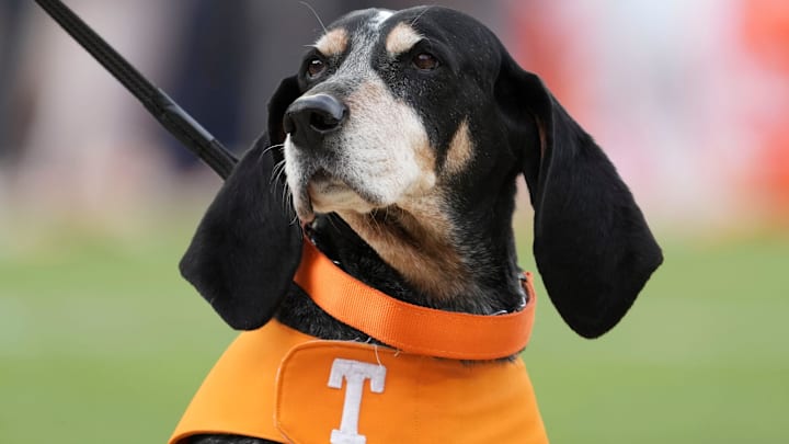Tennessee Volunteers mascot Smokey at a game against the UTEP Miners at Neyland Stadium. 