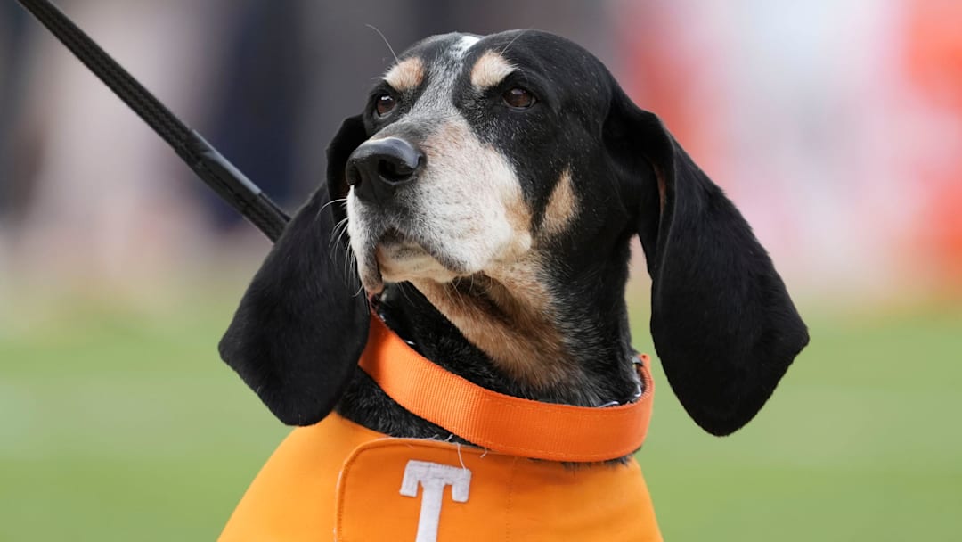 Nov 23, 2024; Knoxville, Tennessee, USA; Tennessee Volunteers mascot Smokey at a game against the UTEP Miners at Neyland Stadium. Mandatory Credit: Angelina Alcantar/USA TODAY Network via Imagn Images Nov 23, 2024; Knoxville, Tennessee, USA; Tennessee Volunteers mascot Smokey at a game against the UTEP Miners at Neyland Stadium. Mandatory Credit: Angelina Alcantar/USA TODAY Network via Imagn Images