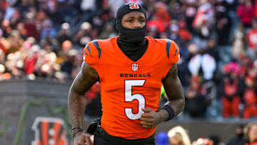 Pittsburgh Steelers v Cincinnati Bengals