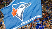 May 27, 2016; Toronto, Ontario, CAN; Toronto Blue Jays mascot Ace waves a Blue Jays flag during the seventh inning stretch during MLB game action against the Boston Red Sox at Rogers Centre. Mandatory Credit: Kevin Sousa-Imagn Images