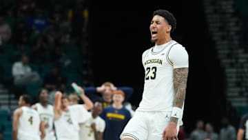  Michigan Wolverines forward Yaxel Lendeborg