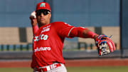 Robinson Canó llegó a los Diablos Rojos del México en 2024 
