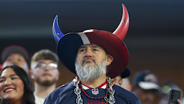 Nov 18, 2024; Arlington, Texas, USA; Houston Texans fan during the second half against the Dallas Cowboys at AT&T Stadium. Mandatory Credit: Kevin Jairaj-Imagn Images