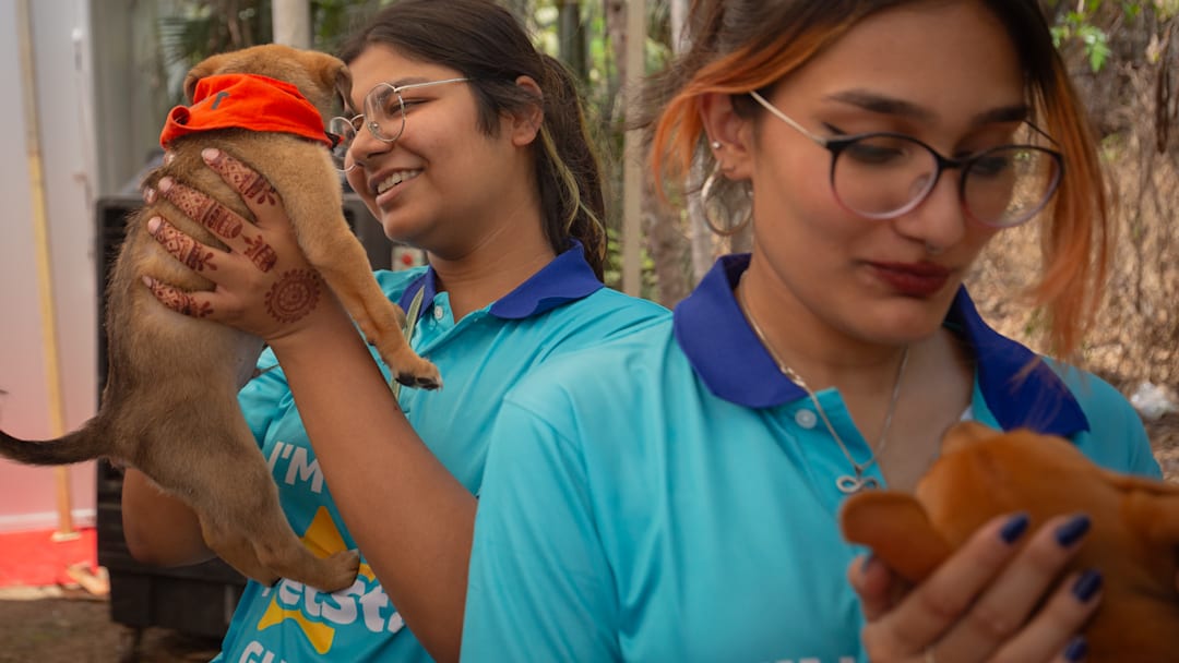 Pet Fiesta Draws Animal Lovers From Across Country To Bangalore