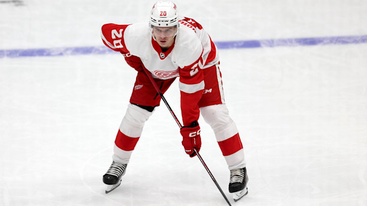 Detroit Red Wings v Washington Capitals