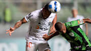 Galo e Coelho miram liderança do Brasileirão