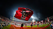 Nov 21, 2025; Raleigh, North Carolina, USA;  NC State Wolfpack cheerleader celebrates a touchdown during the second half of the game against Florida State Seminoles at Carter-Finley Stadium. Mandatory Credit: Jaylynn Nash-Imagn Images