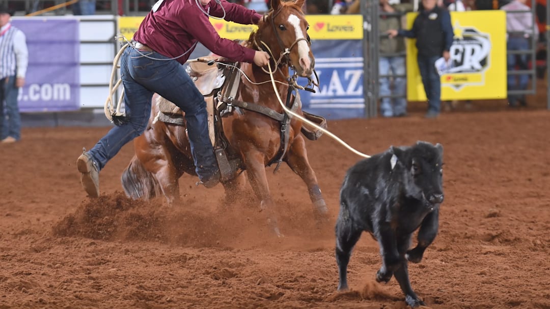 A tie down roper at IFR55