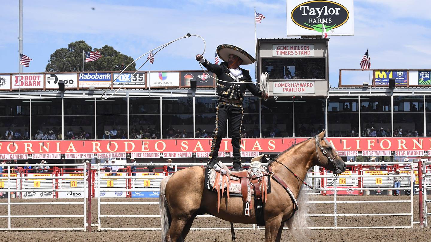 Famed Charro Horse, Hollywood, Honored in NFR Retirement Ceremony