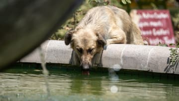 Hot weather in Ankara