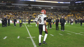 Cincinnati Bengals v Pittsburgh Steelers