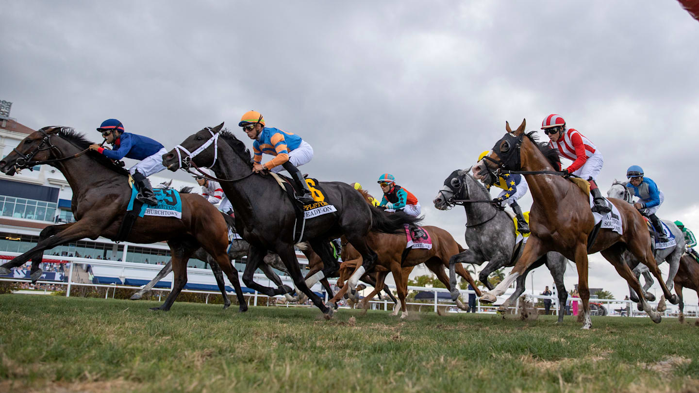Distributed Horse Racing Picks Highlight Saturday Races Across US, UK