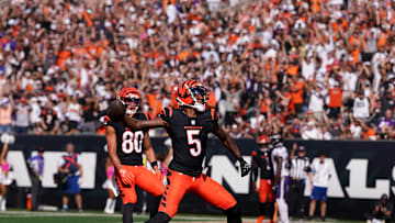 Baltimore Ravens v Cincinnati Bengals