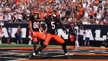 Baltimore Ravens v Cincinnati Bengals