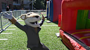 Sep 16, 2023; Pullman, Washington, USA; Washington State Cougars mascot Butch celebrates after a running an obstacle course in the Beer Gardens outside Gesa Field at Martin Stadium before a game against the Northern Colorado Bears. Mandatory Credit: James Snook-Imagn Images