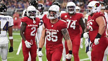 Baltimore Ravens v Arizona Cardinals