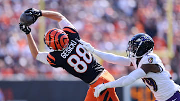 Baltimore Ravens v Cincinnati Bengals