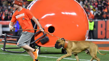 Pittsburgh Steelers v Cleveland Browns