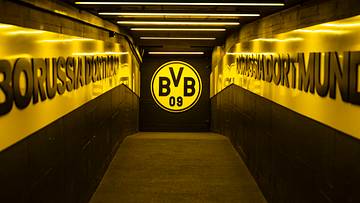 Borussia Dortmund hat große Ziele in der eigenen Jugendarbeit Borussia Dortmund hat große Ziele in der eigenen Jugendarbeit