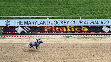 150th Preakness Stakes - Previews