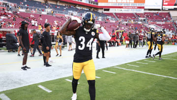 Pittsburgh Steelers v Tampa Bay Buccaneers