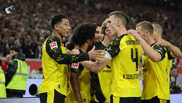 Die Gehälter von Borussia Dortmund Die Gehälter von Borussia Dortmund