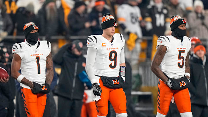 Joe Burrow, Ja'Marr Chase and Tee Higgins all shined for the Cincinnati Bengals in 2024.