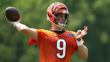 Joe Burrow led the NFL in passing yards and passing touchdowns in 2024.