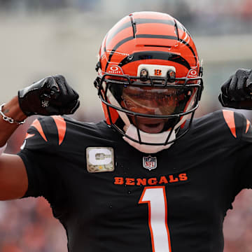 Bengals WR Ja'Marr Chase faces the Pittsburgh Steelers in Week 11.