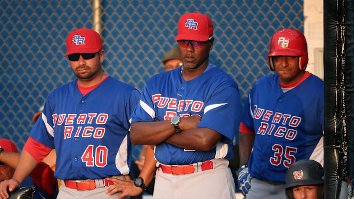Jul 18, 2015; Toronto, Ontario, CAN; Toronto Blue Jays former player and Puerto Rico assistant coach Carlos Delgado (21) (middle) looks on from the dugout against Canada during the 2015 Pan Am Games at Ajax Pan Am Ballpark. Canada beat Puerto Rico 7-1. Mandatory Credit: Tom Szczerbowski-Imagn Images