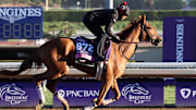 Nov 2, 2023; Santa Anita, CA, USA;  She Feels Pretty exercises during the Breeders' Cup morning workouts at Santa Anita Park. 