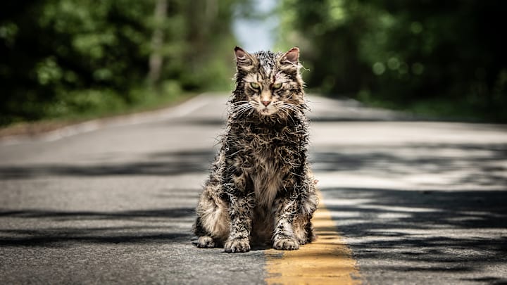 PET SEMATARY, from Paramount Pictures.