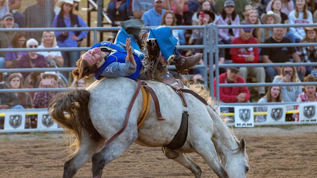 Bareback rider