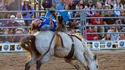 Pbr Rodeo Red PBR - Rodeo On SI - Sports Illustrated