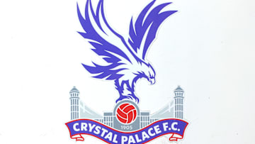 Crystal Palace v Newcastle United - Premier League